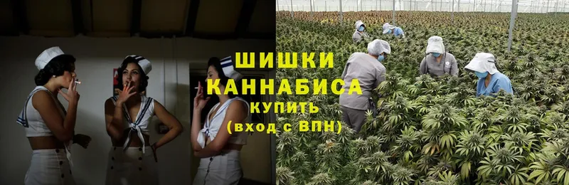 купить наркотик  Дальнереченск  Бошки Шишки OG Kush 